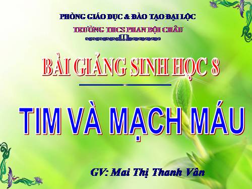 Bài 17. Tim và mạch máu