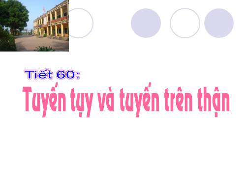 Bài 57. Tuyến tụy và tuyến trên thận