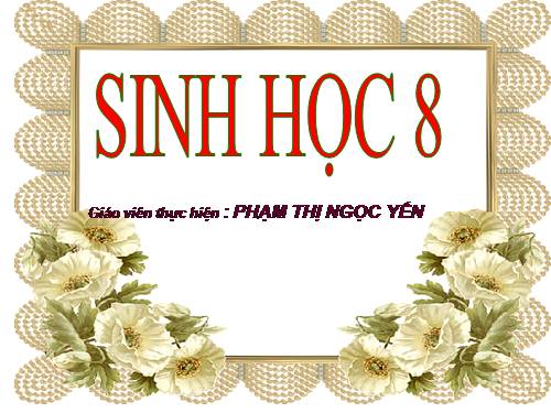 Bài 60. Cơ quan sinh dục nam