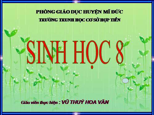 Bài 60. Cơ quan sinh dục nam