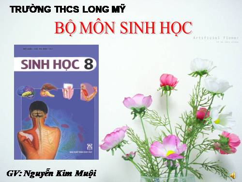 Bài 56. Tuyến yên, tuyến giáp