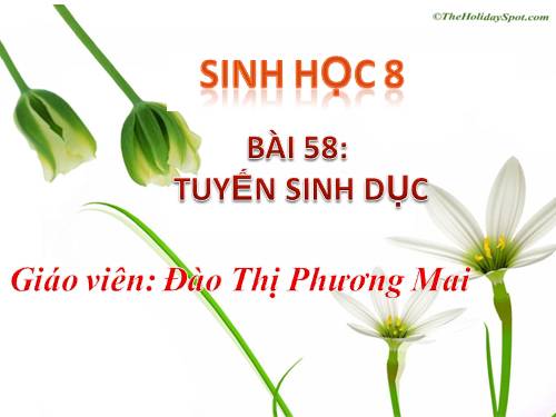 Bài 58. Tuyến sinh dục