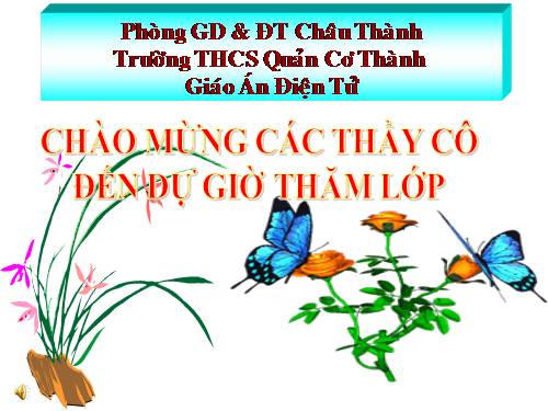 Bài 39. Bài tiết nước tiểu