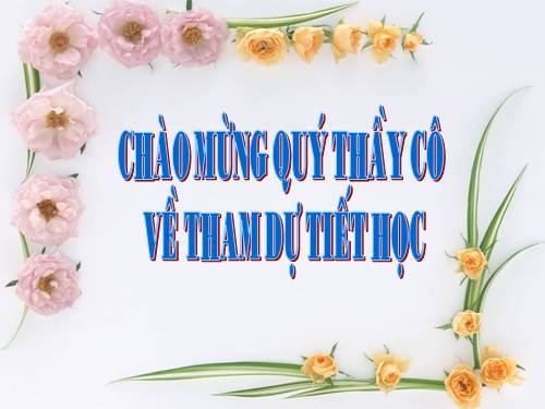 Bài 66. Ôn tập - Tổng kết