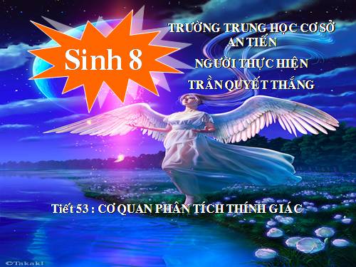 Bài 51. Cơ quan phân tích thính giác