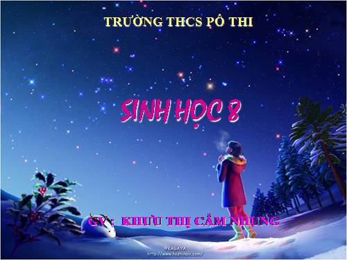 Bài 54. Vệ sinh hệ thần kinh