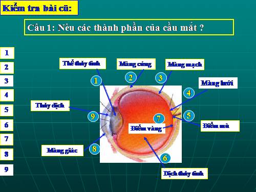 Bài 50 Vệ sinh mắt