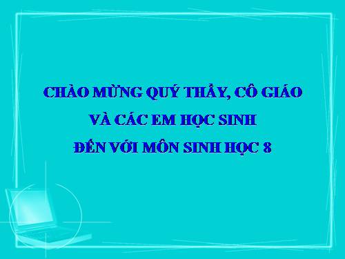 Bài 53. Hoạt động thần kinh cấp cao ở người