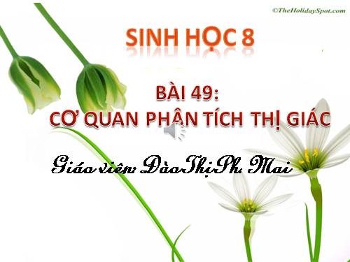 Bài 49. Cơ quan phân tích thị giác