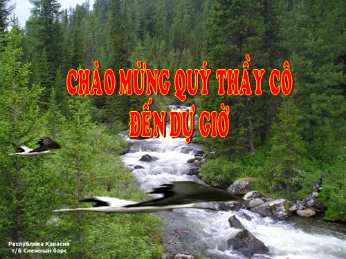 Bài 46. Trụ não. Tiểu não. Não trung gian