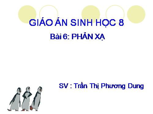 Bài 6. Phản xạ