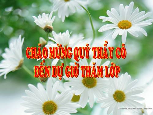 Bài 51. Cơ quan phân tích thính giác