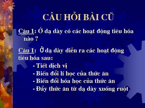 Bài 28. Tiêu hóa ở ruột non