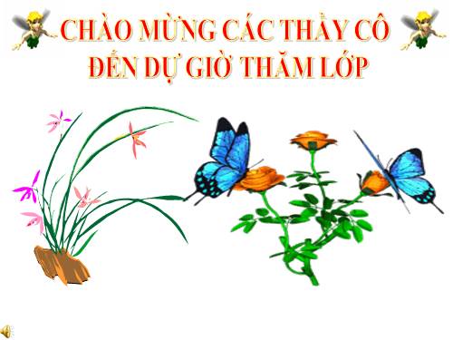 Bài 47. Đại não