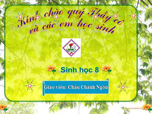 Bài 50 Vệ sinh mắt