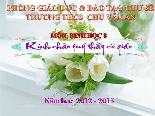 Bài 49. Cơ quan phân tích thị giác