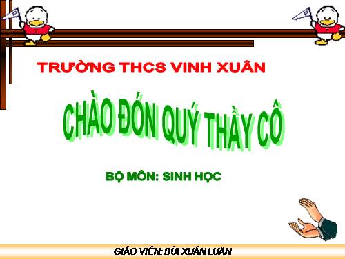 Bài 45. Dây thần kinh tủy