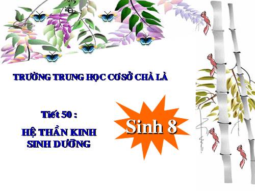 Bài 48. Hệ thần kinh sinh dưỡng