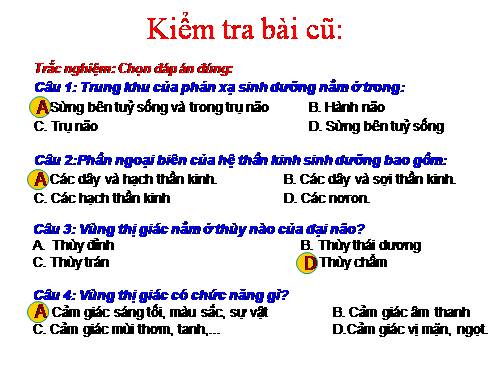 Bài 49. Cơ quan phân tích thị giác