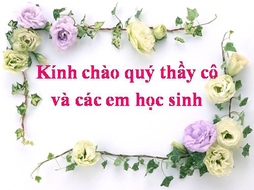 Bài 49. Cơ quan phân tích thị giác