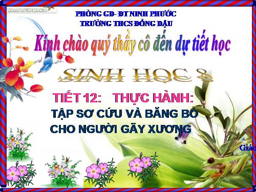 Bài 12. Thực hành: Tập sơ cứu và băng bó cho người gãy xương