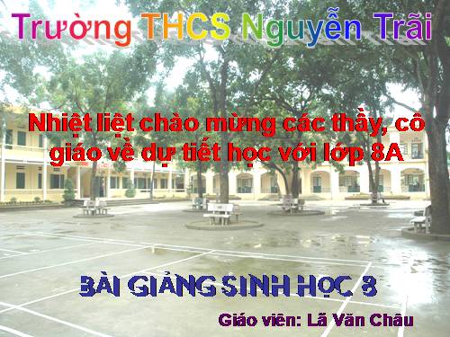 Bài 48. Hệ thần kinh sinh dưỡng