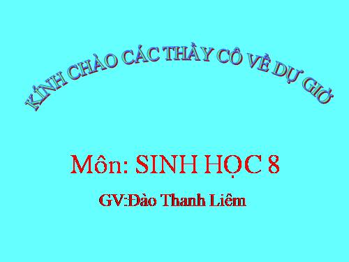 Bài 45. Dây thần kinh tủy