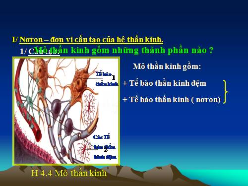 Bài 43. Giới thiệu chung hệ thần kinh