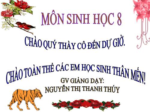 Bài 43. Giới thiệu chung hệ thần kinh