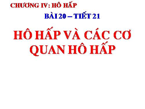 Bài 20. Hô hấp và các cơ quan hô hấp
