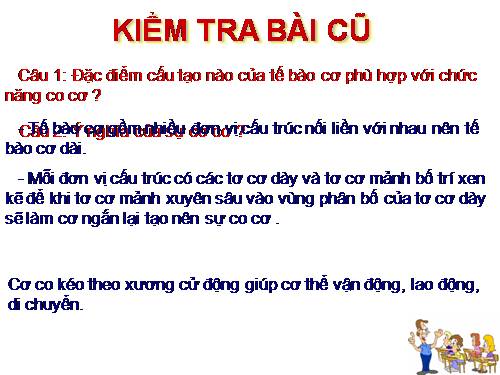 Bài 10. Hoạt động của cơ