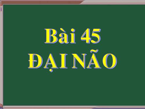 Bài 47. Đại não