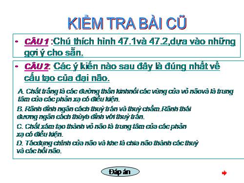 Bài 48. Hệ thần kinh sinh dưỡng