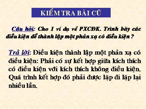 Bài 53. Hoạt động thần kinh cấp cao ở người