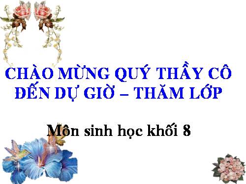 Bài 54. Vệ sinh hệ thần kinh