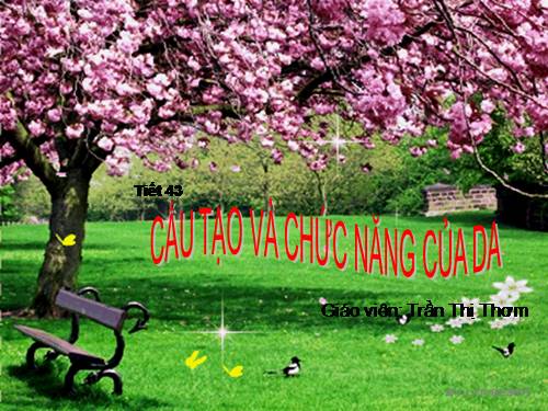 Bài 41. Cấu tạo và chức năng của da