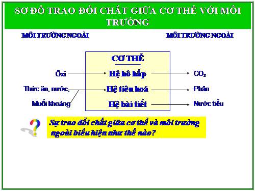 Bài 38. Bài tiết và cấu tạo hệ bài tiết nước tiểu
