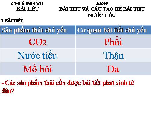 Bài 38. Bài tiết và cấu tạo hệ bài tiết nước tiểu