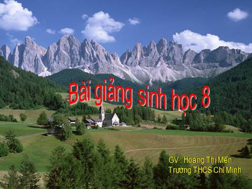 Bài 39. Bài tiết nước tiểu