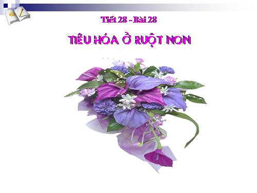 Bài 28. Tiêu hóa ở ruột non