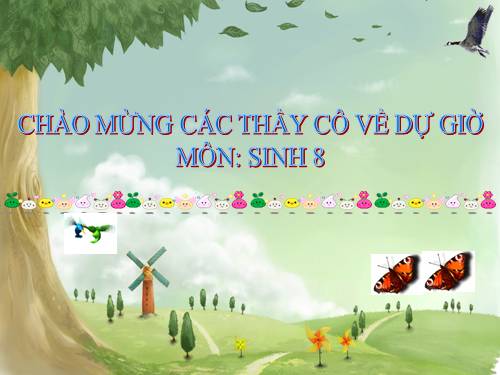 Bài 57. Tuyến tụy và tuyến trên thận