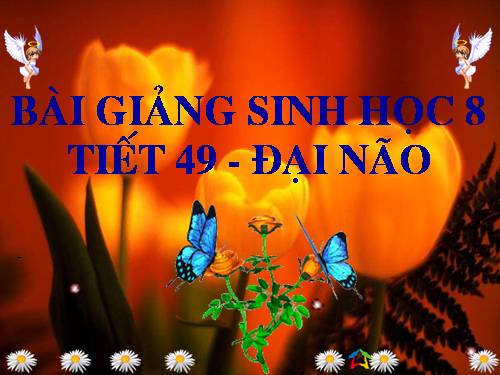 Bài 47. Đại não