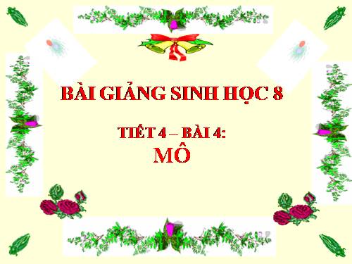 Bài 4. Mô