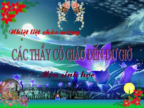 Bài 29. Hấp thụ chất dinh dưỡng và thải phân