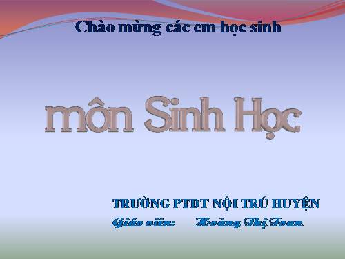 Bài 39. Bài tiết nước tiểu