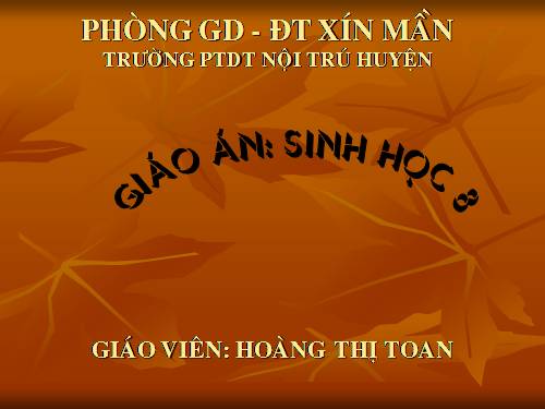 Bài 51. Cơ quan phân tích thính giác