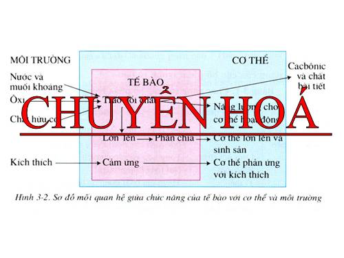 Bài 32. Chuyển hóa