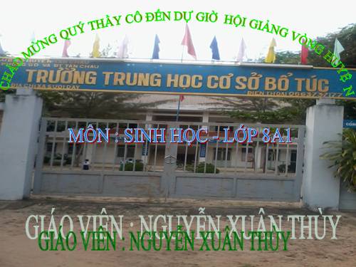 Bài 31. Trao đổi chất