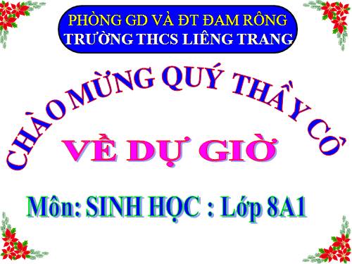 Bài 28. Tiêu hóa ở ruột non