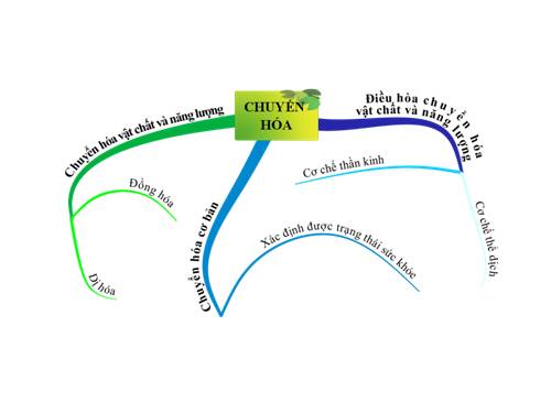 Ban do tu duy bai Chuyen hoa